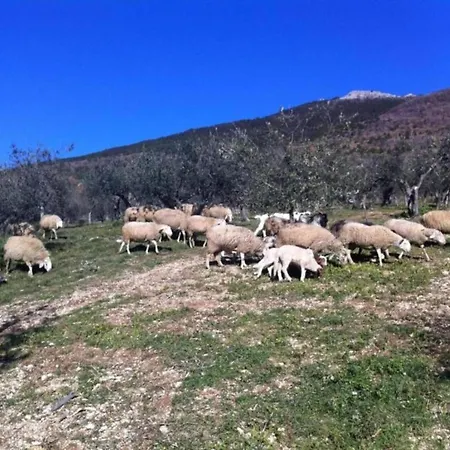 In Umbria With Garden Apartamento Mantignana