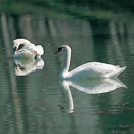 In Umbria With Garden Apartamento Mantignana